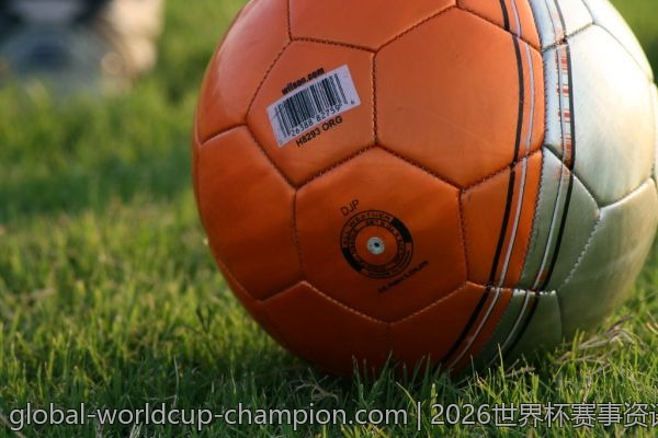2026世界杯赛事资讯必备：最全网站入口汇总