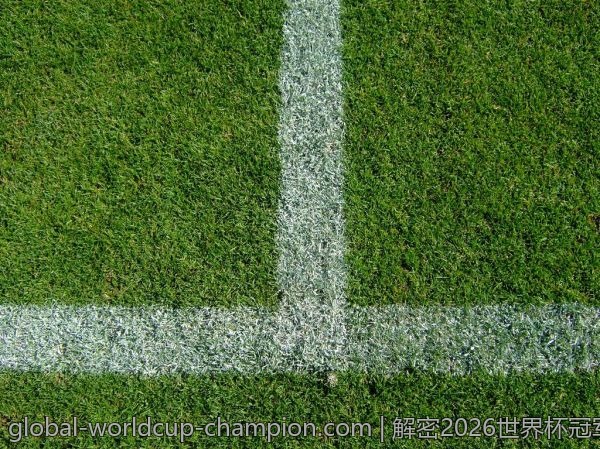解密2026世界杯冠军数据热度,背后有什么你不知道的故事?